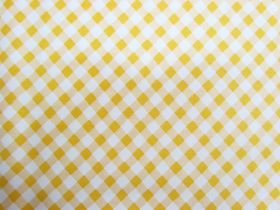 Ruby Star Society Cotton- Food Group- Painted Gingham- Butternut
