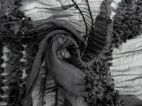Shirred Self Stripe Chiffon With Minky & Sequins #7617