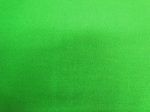 Quilter's Cotton- Lime