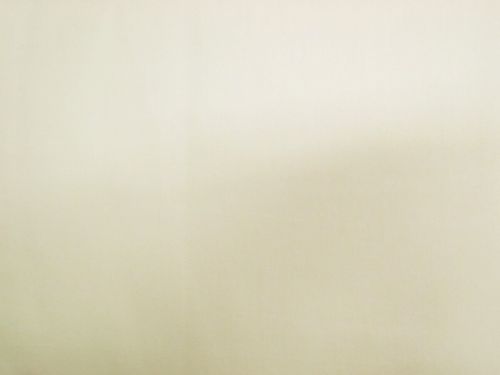 Homespun Quilter's Cotton- Light Cream