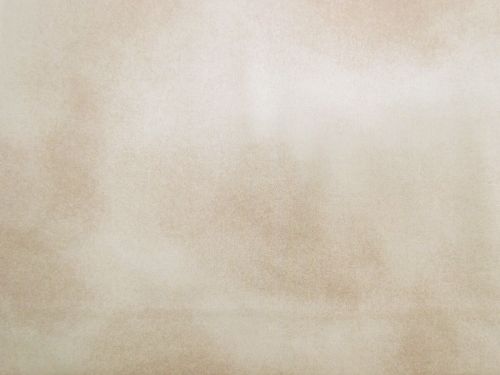 Devonstone Collection- Building Block- Sands- Beige- DV2507