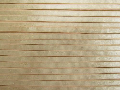 *Seconds* 8mm Lingerie Strap Elastic- Beige #T1443
