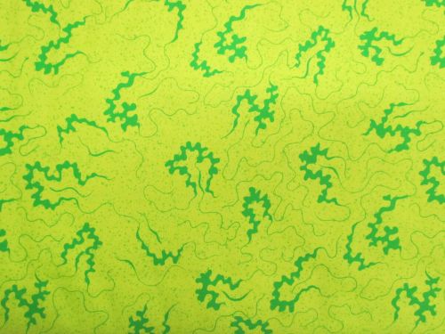 Devonstone Collection- Miscellany- Cornelli- Green- DV6849