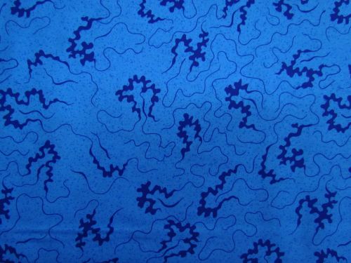 Devonstone Collection- Miscellany- Cornelli- Blue- DV6848