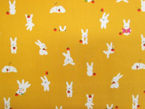 Ruby Star Society Cotton- Persimmon- Bun E And Simmy- Dandelion