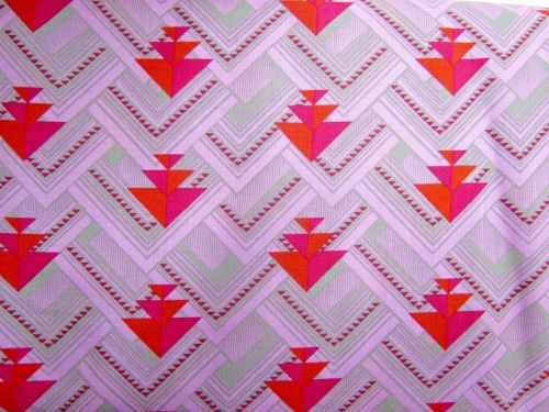 Amy Butler- Splendor- Head North- Cherry