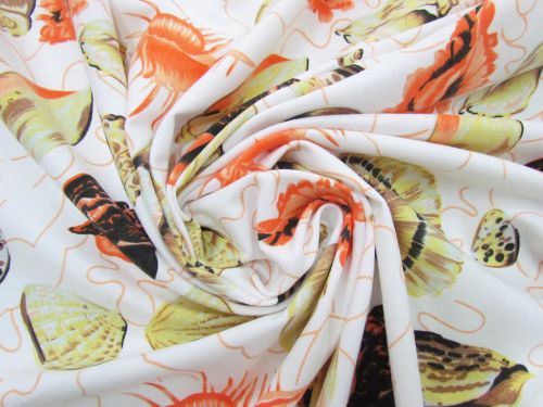 *Seconds* Seashell Cotton Jersey- Orange #5113