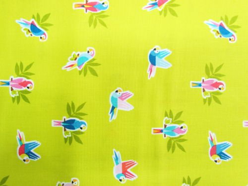 Pool Party- Parrots- Lime D#2443