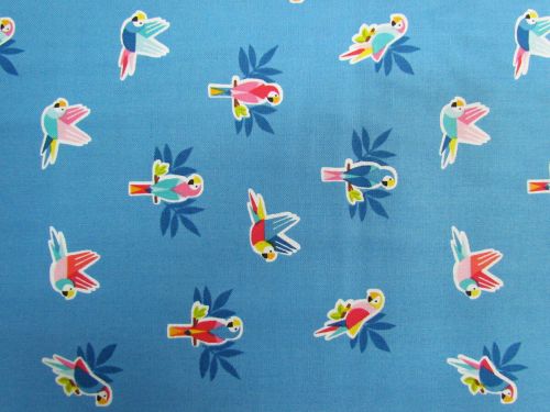 Pool Party- Parrots- Blue D#2443