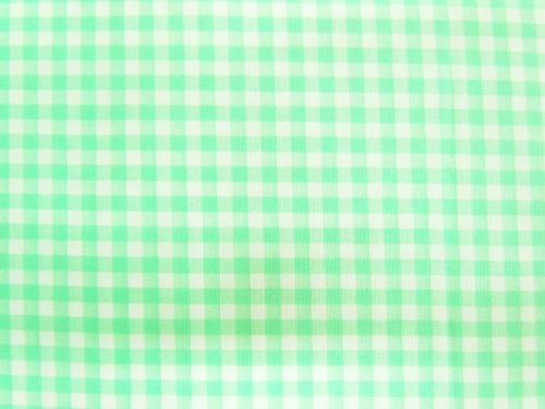 Gingham Check Cotton- Bright Mint