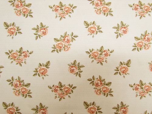 Devonstone Collection- Storybook- Roses- Cream- DV6018