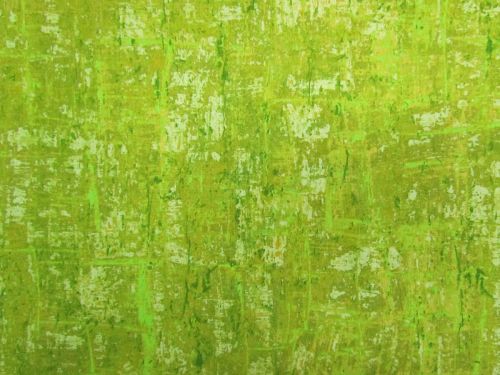 Nitty Gritty- Lime- A1434V