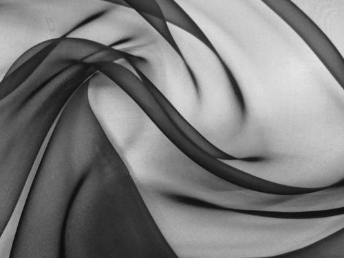 Silk Organza- Spider Black #12192