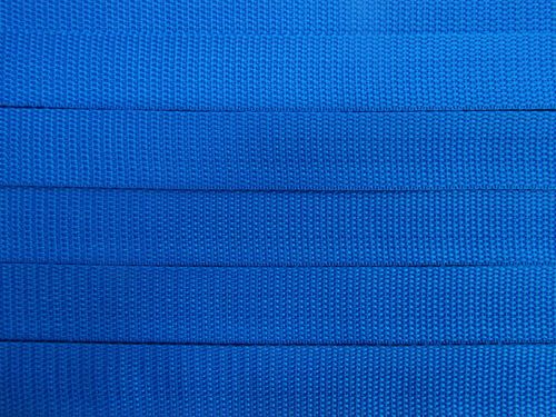 25mm Webbing Tape- Blue Raspberry #T848