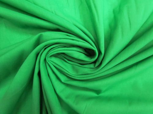 Cotton Voile- Thorn Green #13623