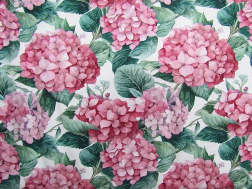 Devonstone Collection- Nora's Nursery- Hydrangea- DV6718