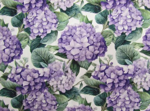 Devonstone Collection- Nora's Nursery- Hydrangea- DV6717